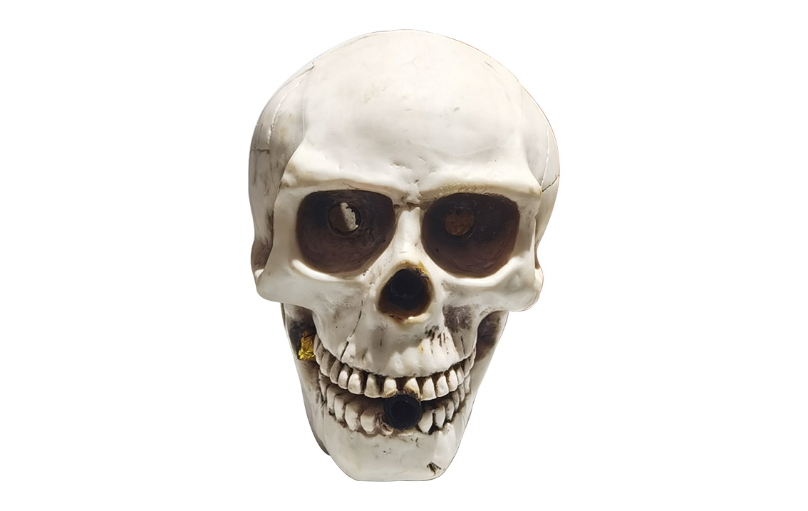 skull Skull