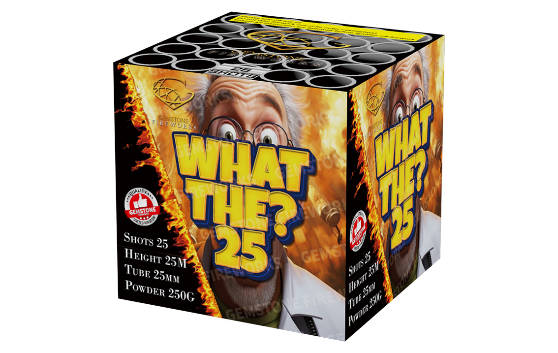 what-the-25.jpg What The? 25 - Image 1