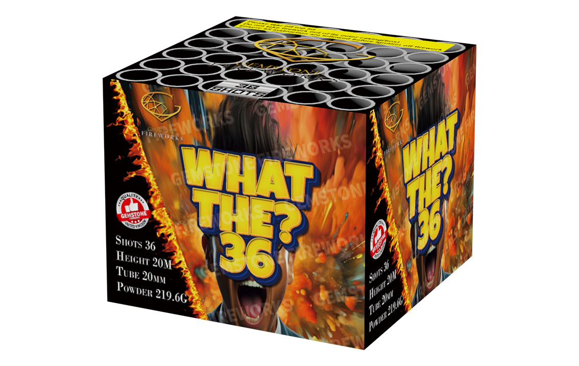 what-the-36.jpg What The? 36 - Image 1