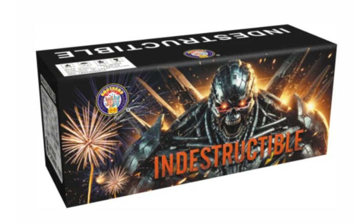 INDESTRUCTIBLE - Image 1